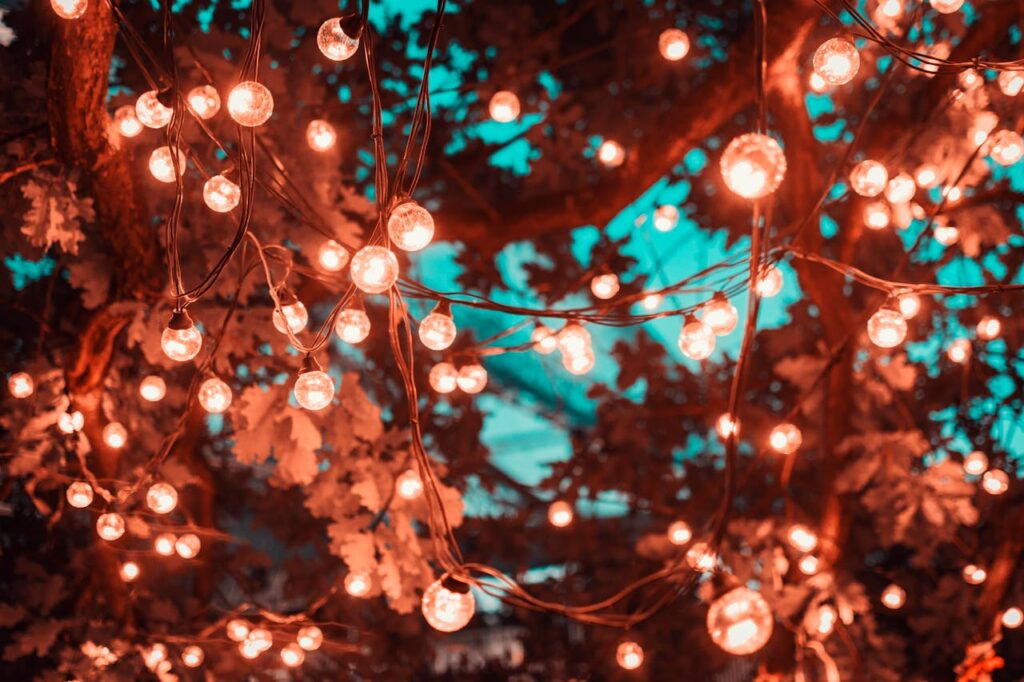 Magical scene with glowing string lights hanging in trees, perfect for festive occasions.